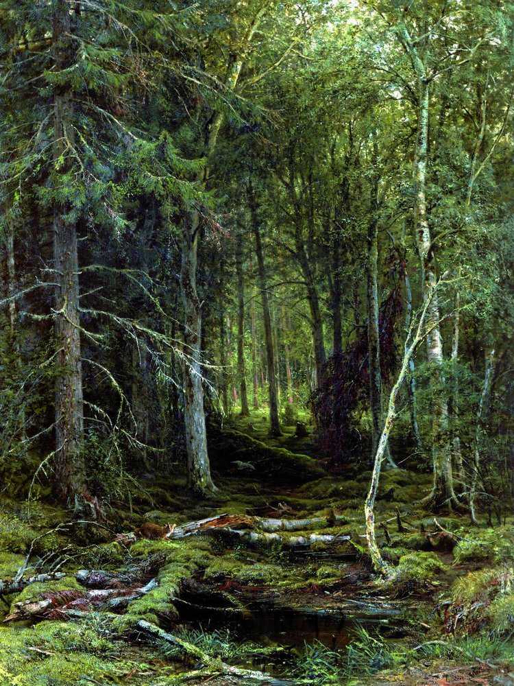 Картина Лесная глушь – художник Иван Иванович Шишкин