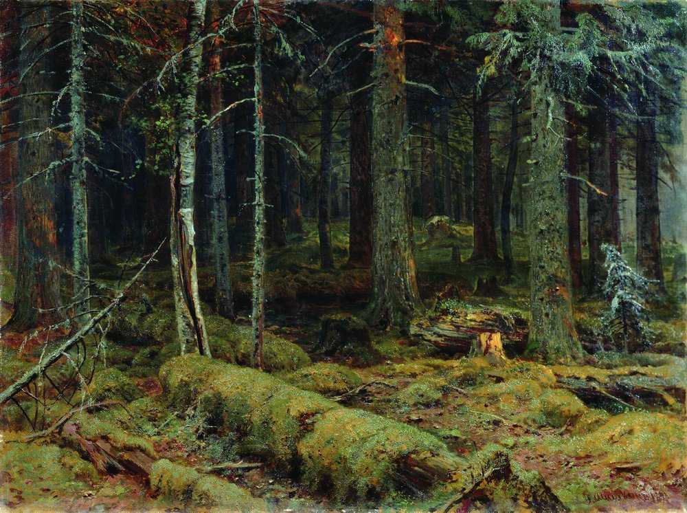 Картина Тёмный лес – художник Иван Иванович Шишкин