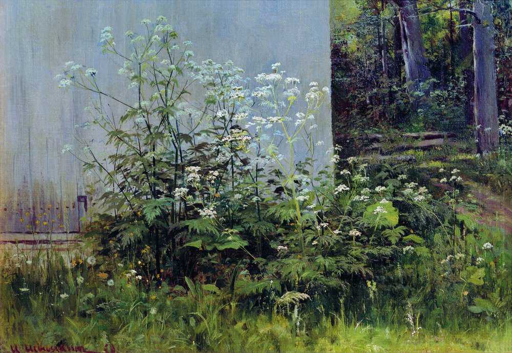 Картина Цветы у забора – художник Иван Иванович Шишкин