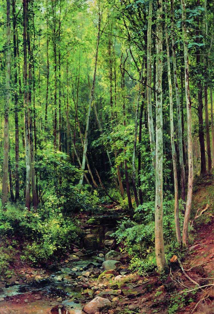 Картина Лес-осинник – художник Иван Иванович Шишкин