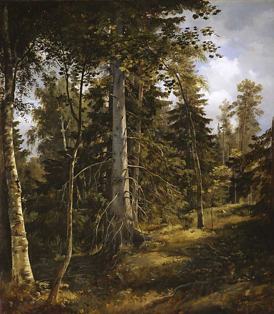 Картина Лесная чаща – художник Иван Иванович Шишкин