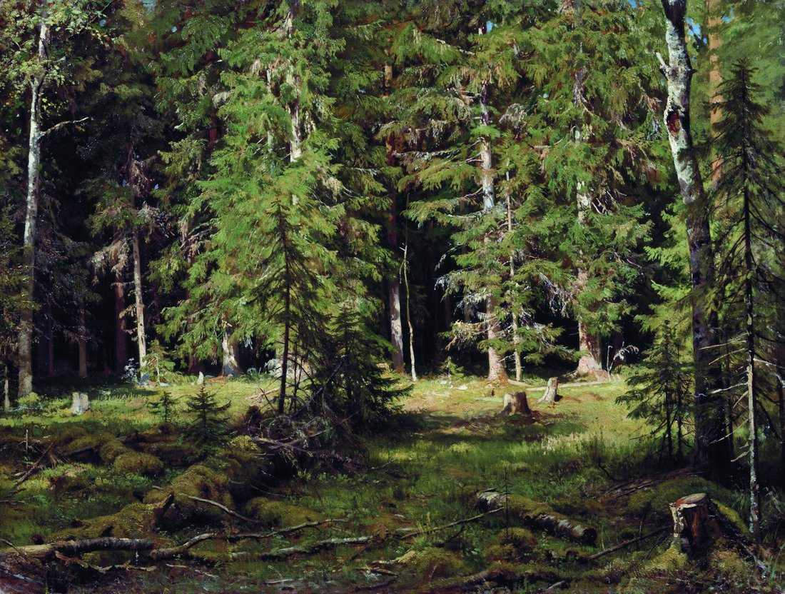 Картина Лес – художник Иван Иванович Шишкин