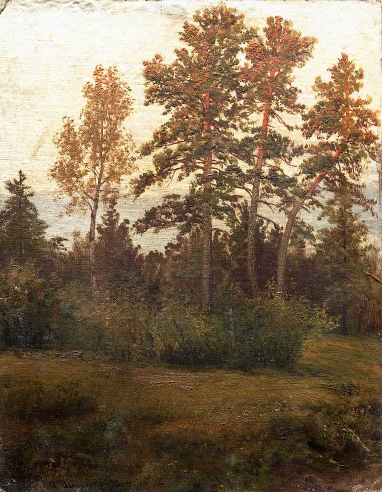 Картина Опушка леса – художник Иван Иванович Шишкин
