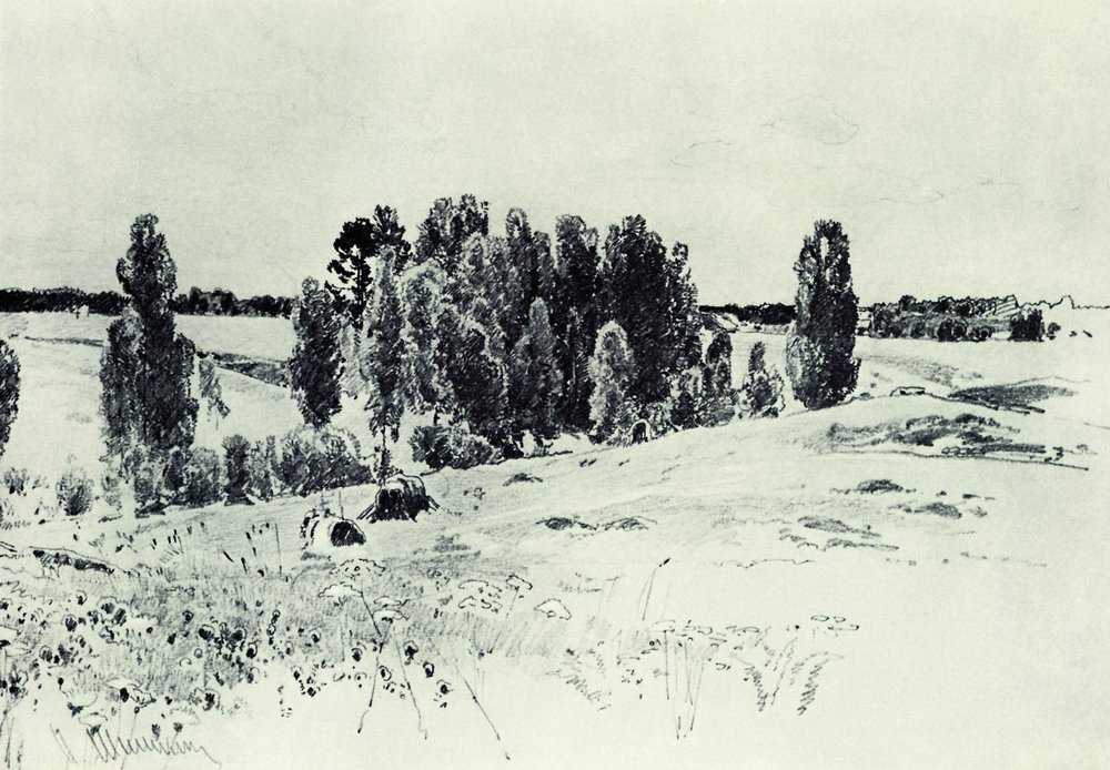 Картина Поля и рощи – художник Иван Иванович Шишкин
