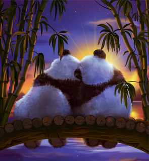 Влюблённые панды