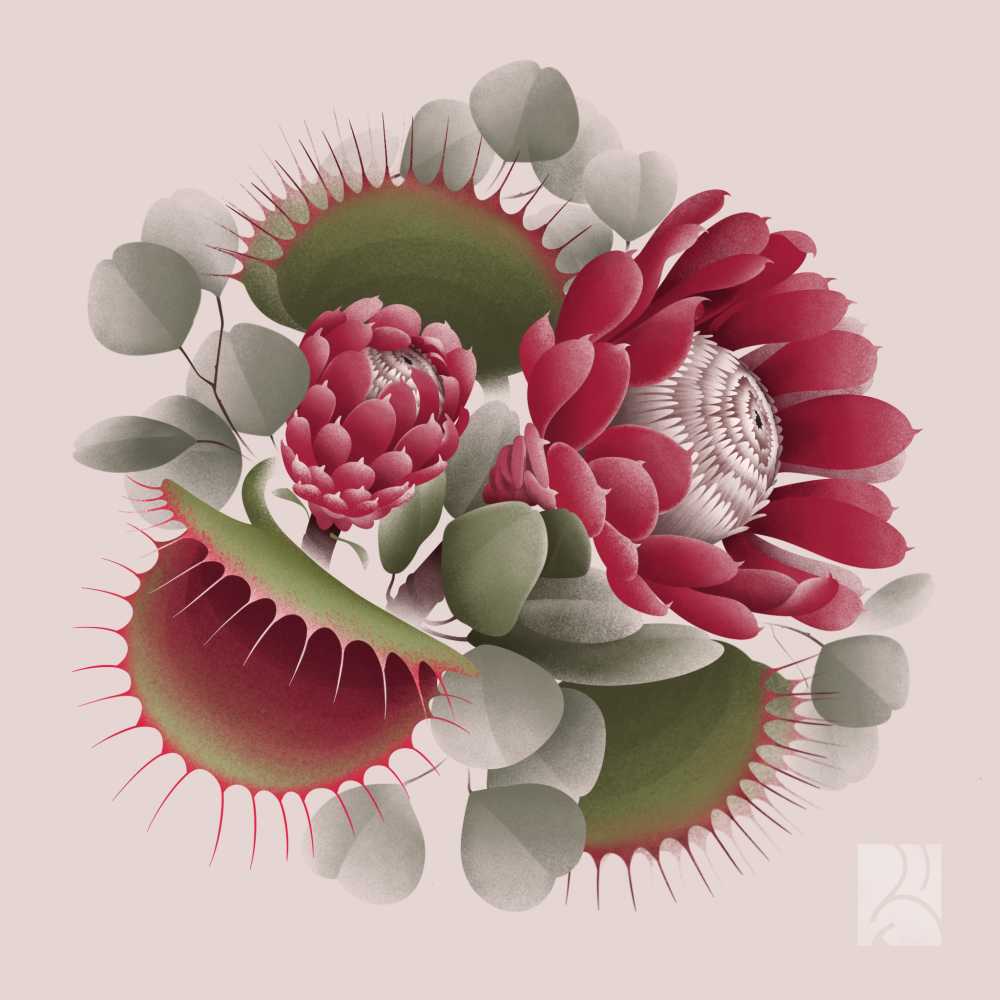 Flower Flower