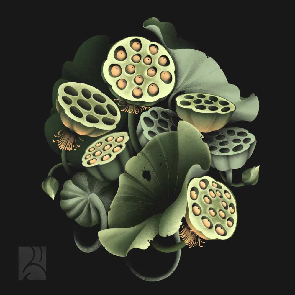 Flower_2 Flower_2